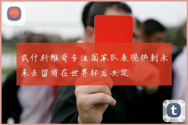 武什科维奇专注国家队表现热刺未来去留将在世界杯后决定